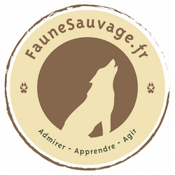 Logo faune Sauvage